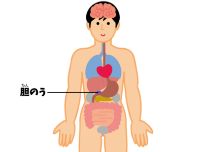 【死亡率10%も】胆管炎はなぜ怖い？胆のう炎との違いと症状・治療法のアイキャッチ画像