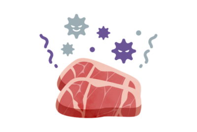夏に多発するサルモネラ食中毒 – 卵や鶏肉だけじゃない！ペットや意外な原因、正しい予防と対処法のアイキャッチ画像