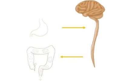 食後30分で急な腹痛と下痢…これって病気？「胃結腸反射」と過敏性腸症候群の違いを解説のアイキャッチ画像