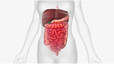 突然の腹痛と血便に要注意!「虚血性大腸炎」の原因と正しい対処法のアイキャッチ画像